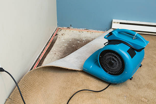 Best Carpet water damage restoration  in Hinckley, MN